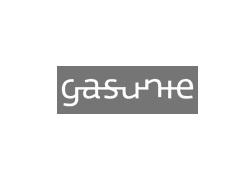 Demo Logo